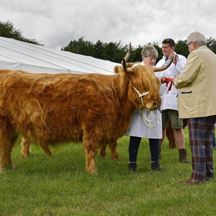 Honley Show 2026