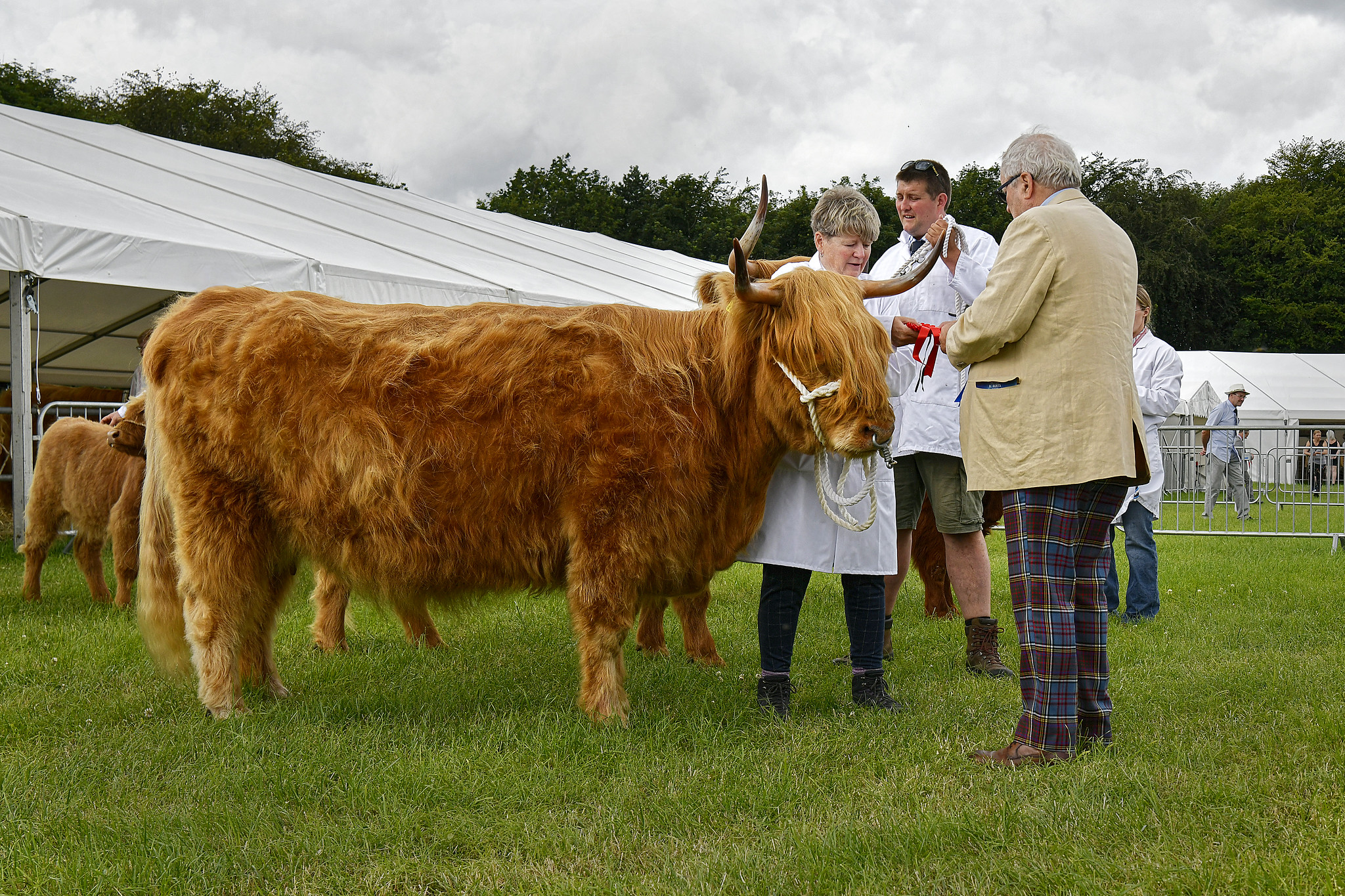Honley Show 2026 Honley Show 2026